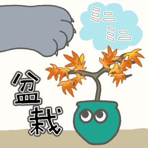 「種から育てるミニ盆栽(1)」のサムネイル画像